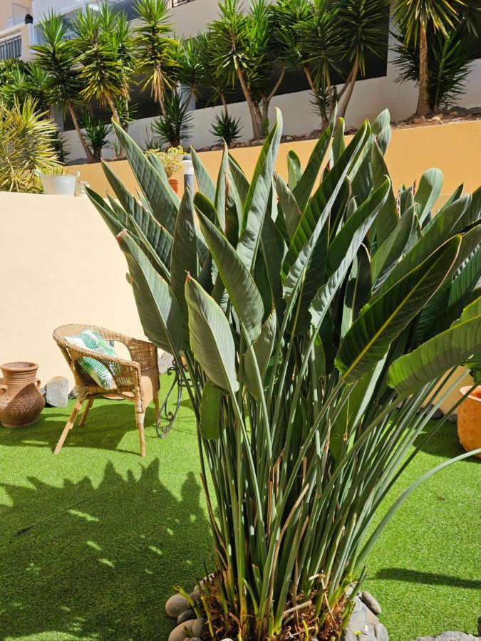 New Holiday Home Beautiful Sea View With Aircon, Costa Adeje Costa Adeje  ภายนอก รูปภาพ